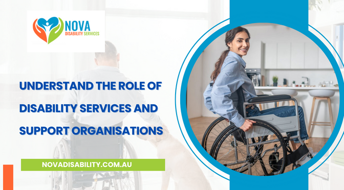 Understand the Role of Disability Services and Support Organisations