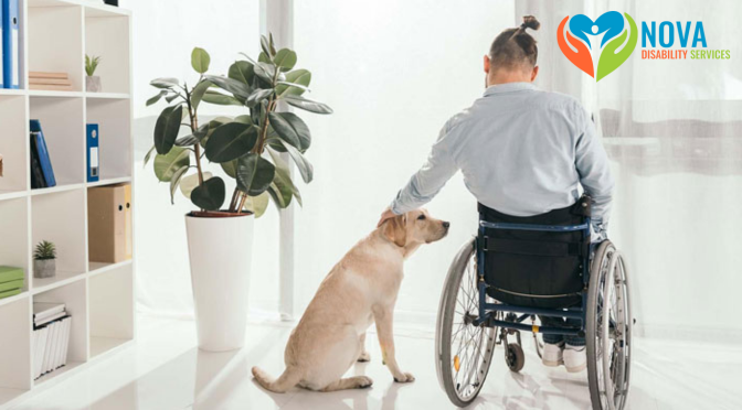 What are the Benefits of NDIS Supported Independent Living?